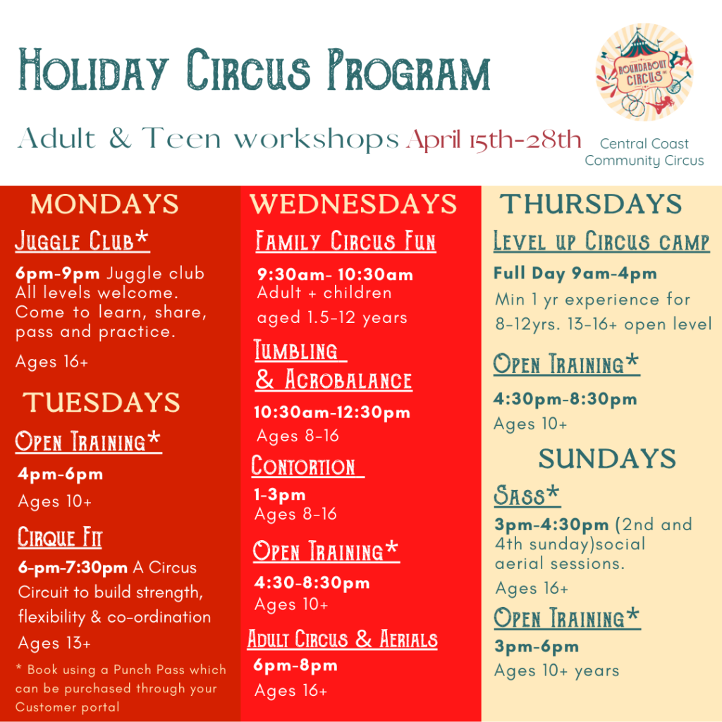 Circus holiday program - adult and teen workshops