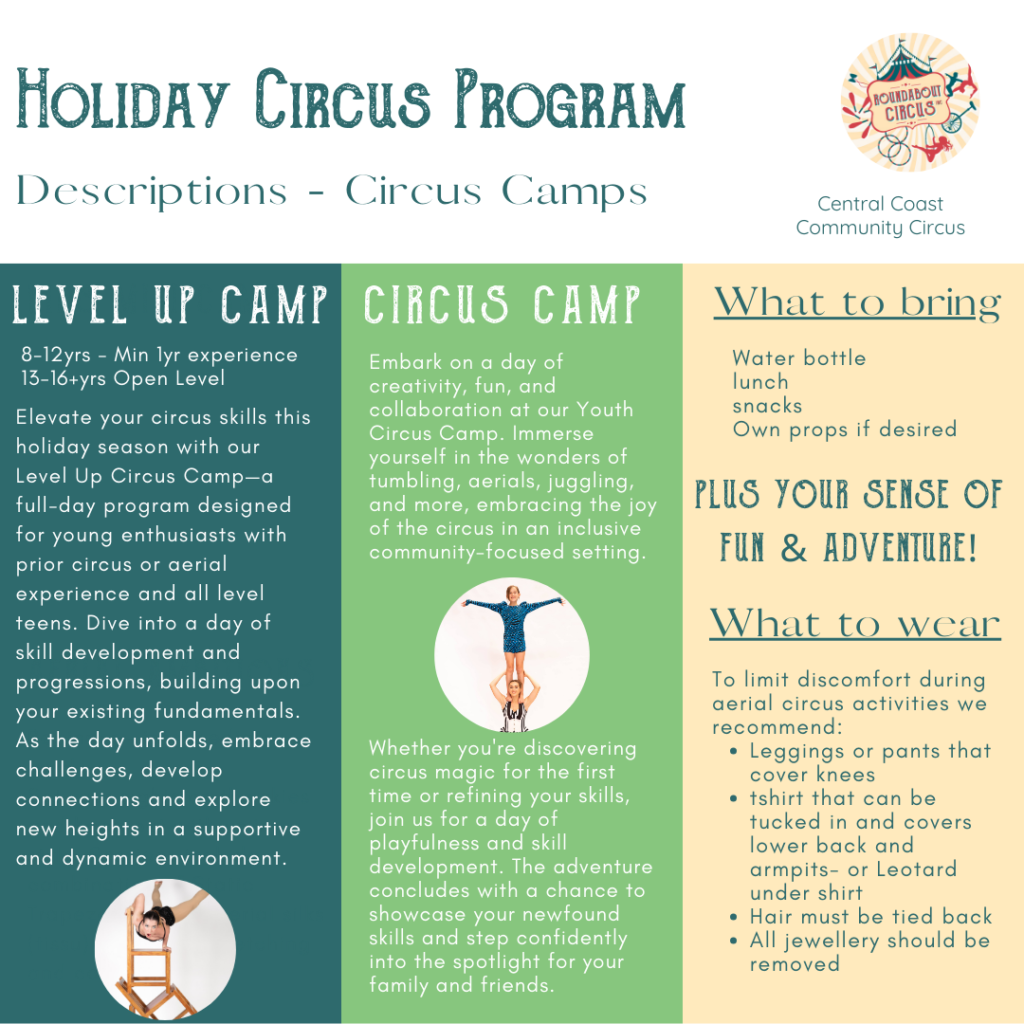 Holiday program circus workshop descriptions
