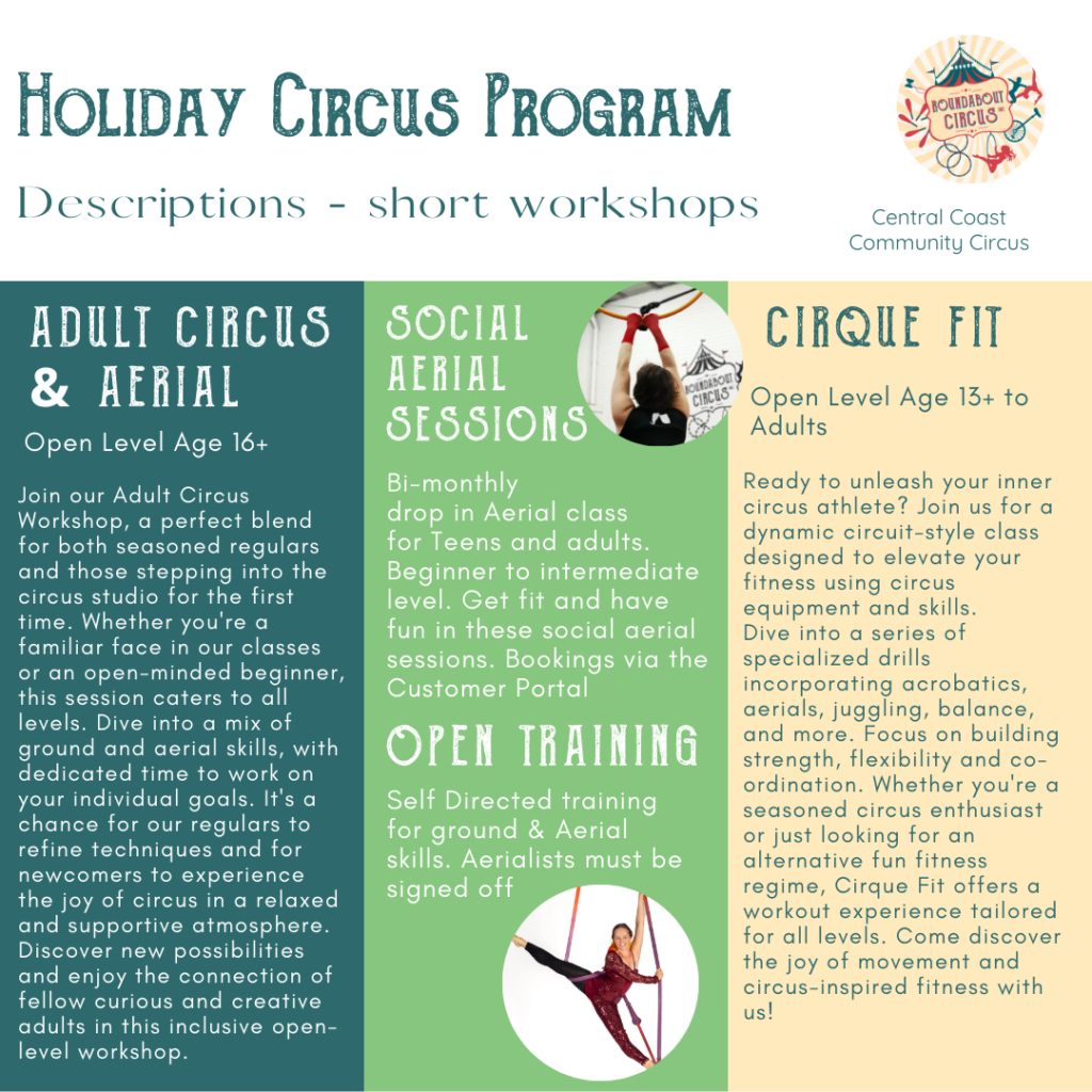 Circus holiday program adult class descriptions - aerial, juggling. open training,
